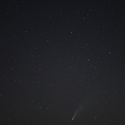 At the Feet of a Bear